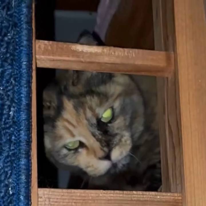 01adc122 8956 4613 a646 3505b0480eab 1745613822177