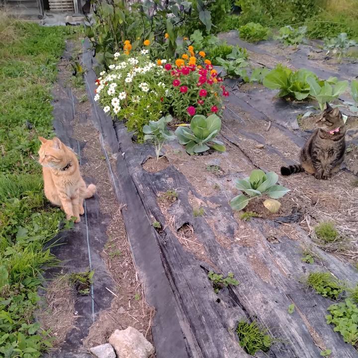 01adc7c7 7884 4bcb bf61 e736679dcf01 1665835733805