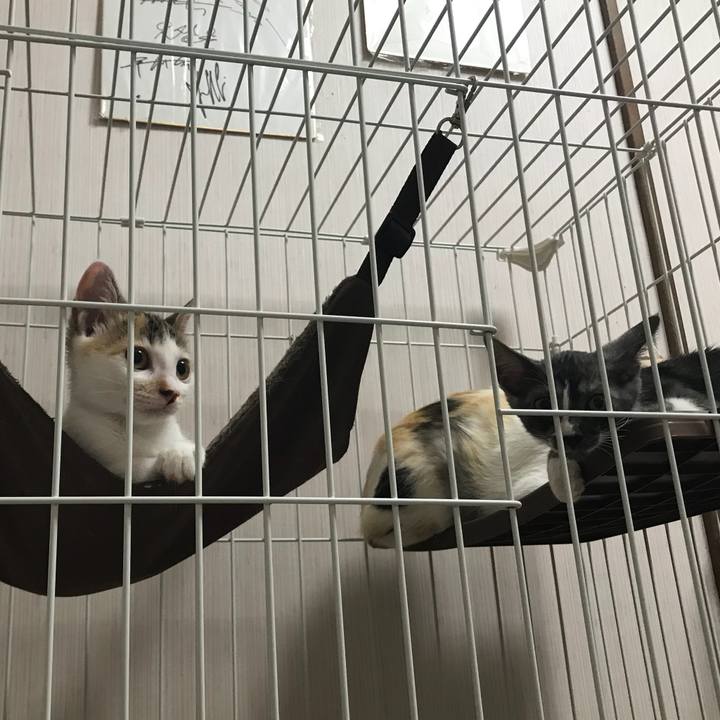 01addde2 fc5b 4cf3 a866 5dafd07d12e8 1531404283693