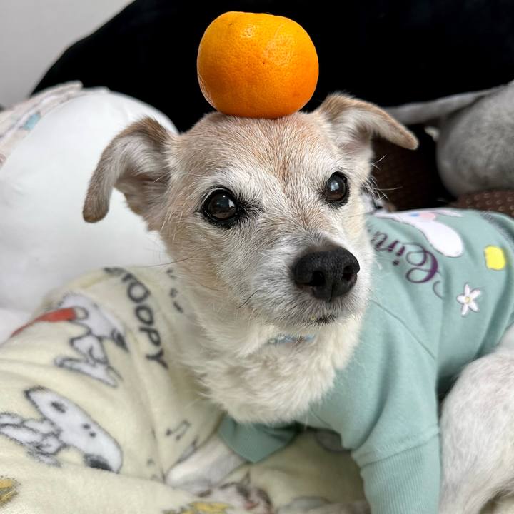 01adf1a6 8169 44ab adcf d158965dc942 1768125352671