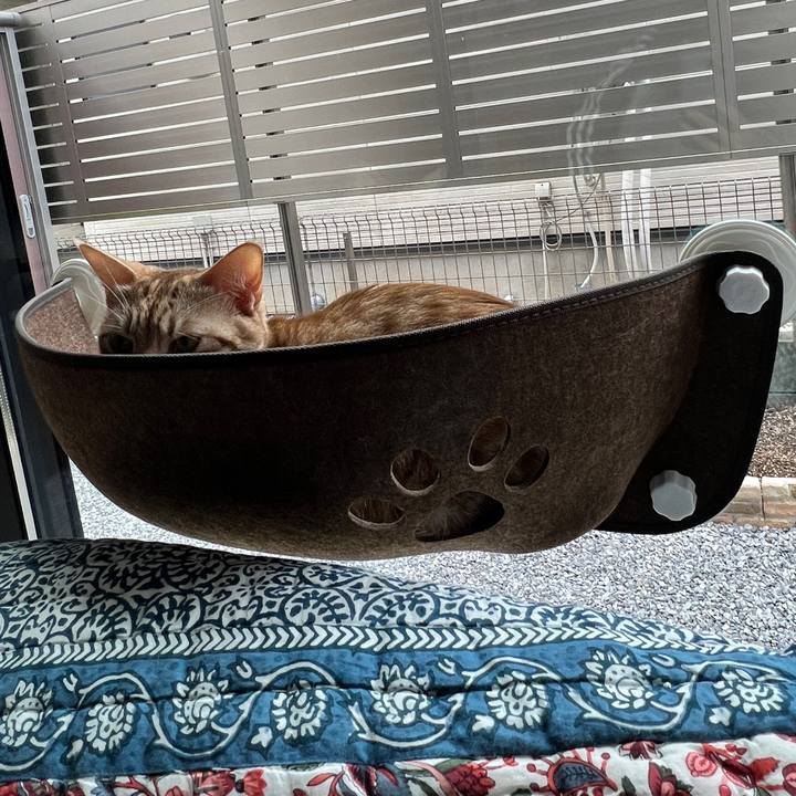 01ae2743 c787 465f 9da6 d94b94b24d60 1731199458246