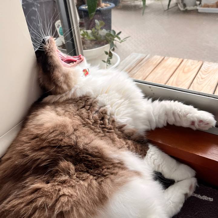 01ae2c5b d12c 4c9a ad6f cbfee6fd6403 1662538132787