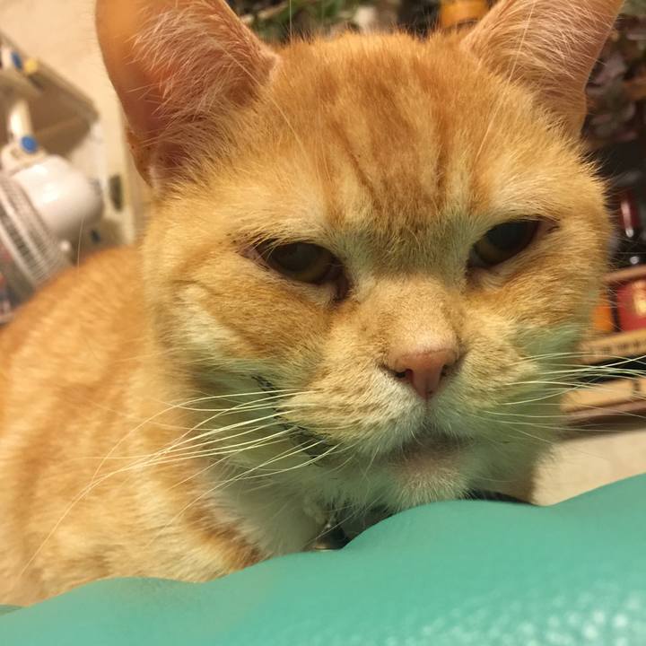 01ae49e5 4b9b 4d90 8cbc 856450f9aa2f 1550999628724