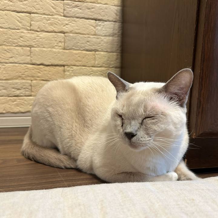 01ae7f45 7e8c 46ba 982c 4cb1e0ca76b2 1736807482189