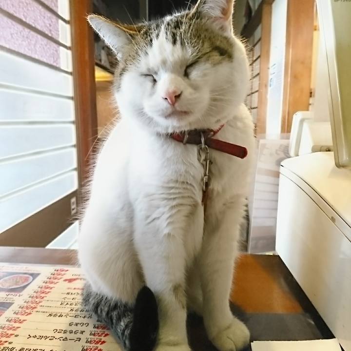 01aea28a 7ff4 48f7 b5a6 2f0ad087aca3 1518841075211