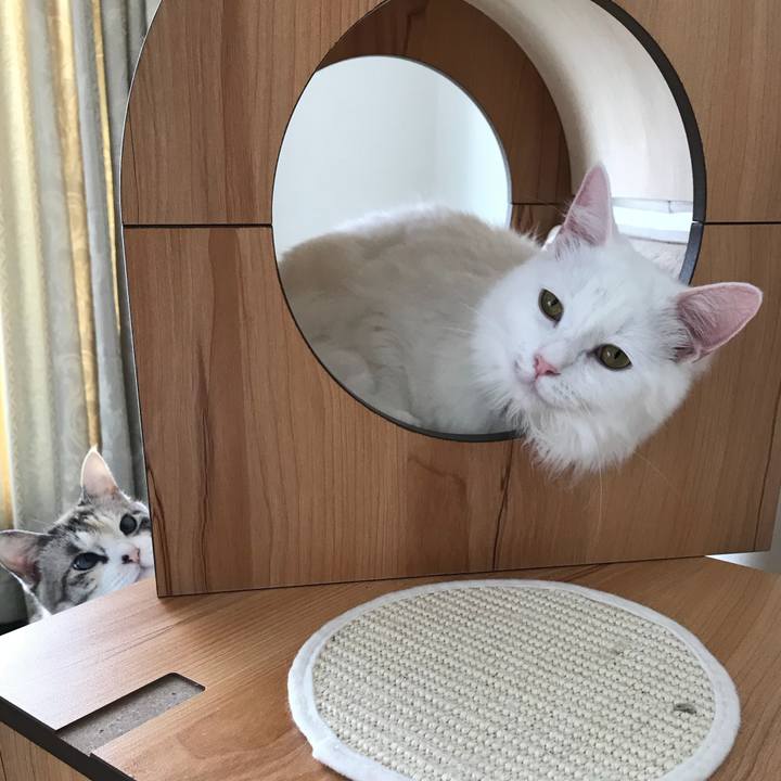 01aed449 0cf4 4478 94cc b155e4c02488 1529381557014