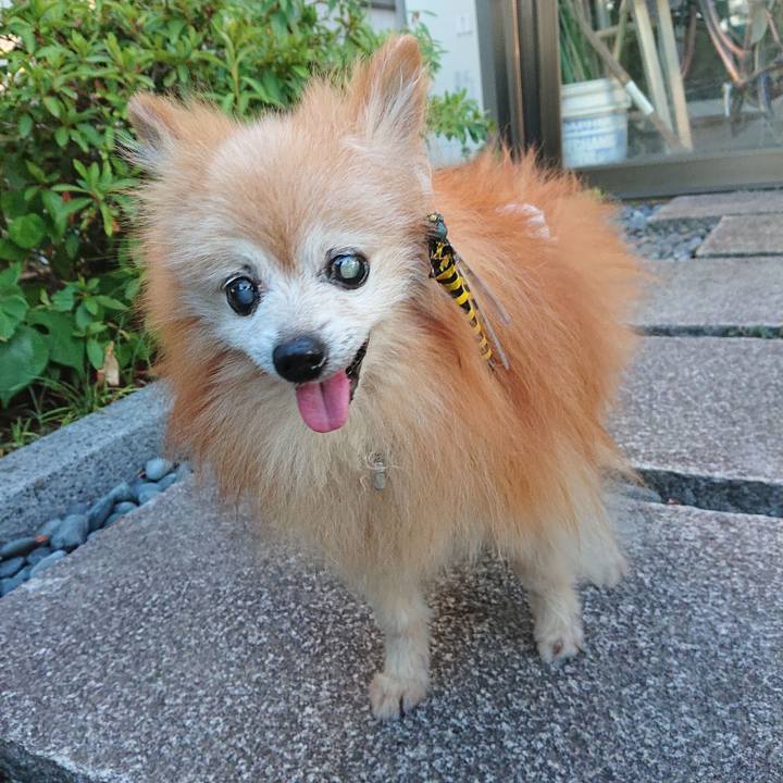 01aedbf4 6f1c 42d7 90b7 5b85390fb287 1692008364232