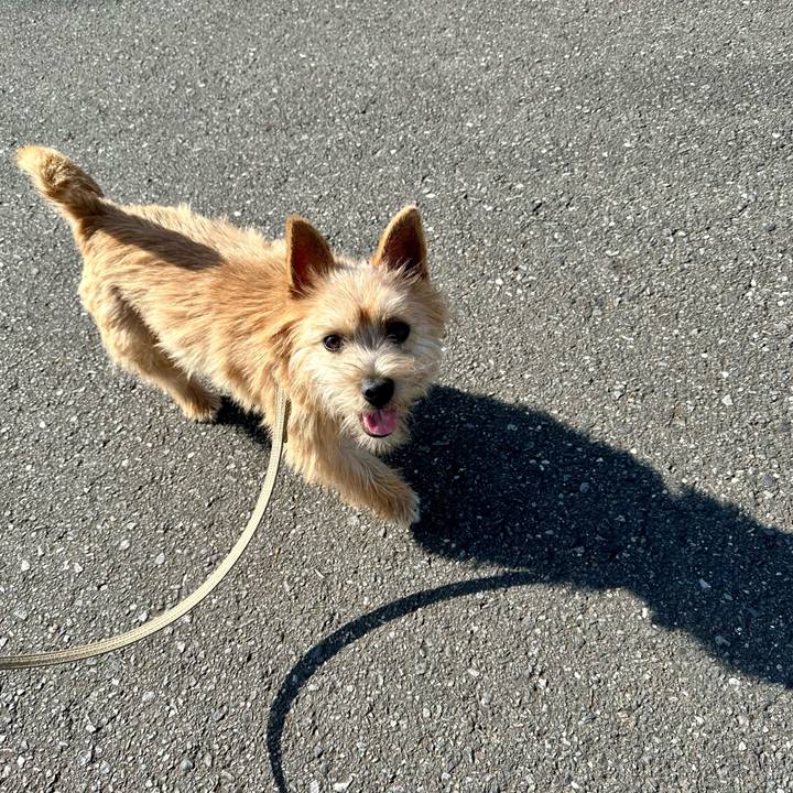 01aee9b0 c3c8 411e a6a3 b89d8dc2667b 1713021561644