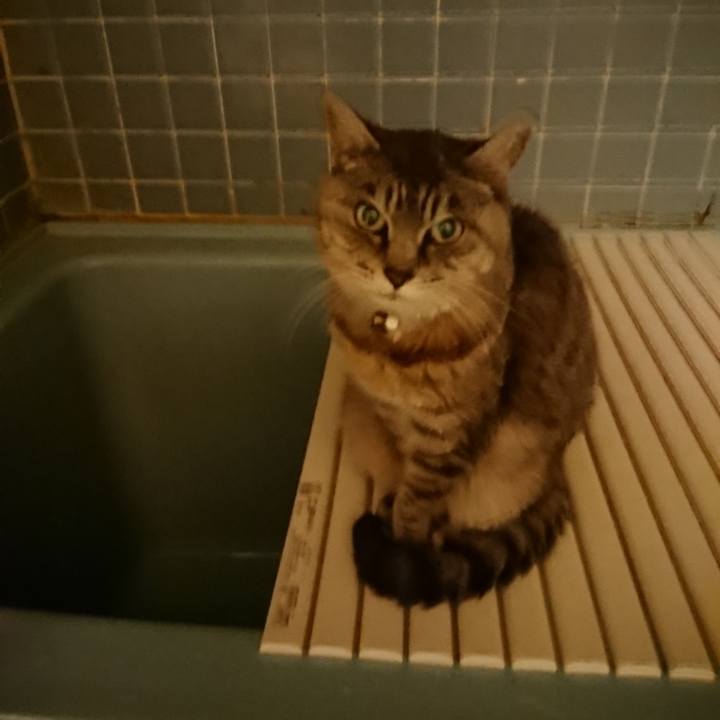 01aeed73 8e13 4335 925b 27354c3bb6a1 1571736243077