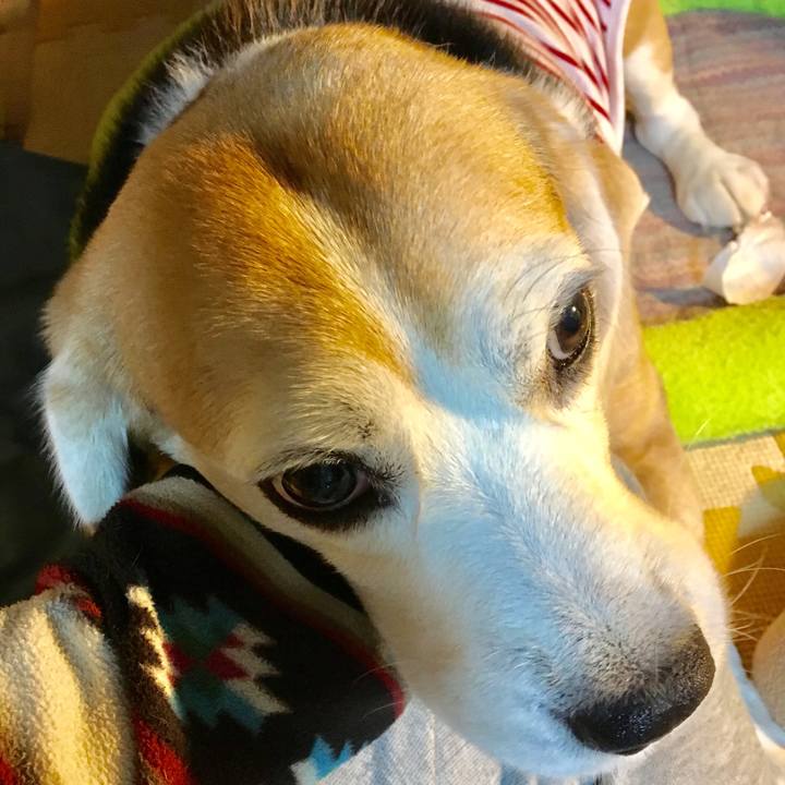 01af0e94 a2ca 444d 9864 9ccd1c38677c 1540908943425