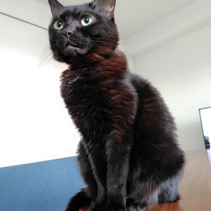 01af34fa 30e3 459b b9c0 24d92e625892 1738276517464