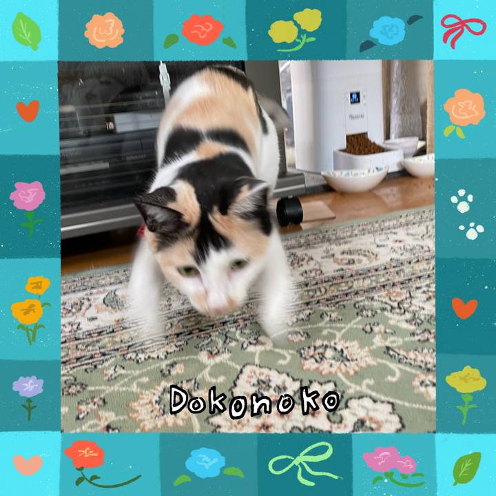 01af66a2 2163 462c 8d30 74e142bec296 1715045400207