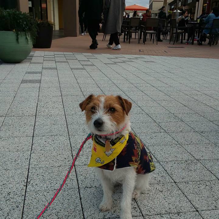 01af7c85 8472 4273 95be acabe4d77ca6 1579936392944