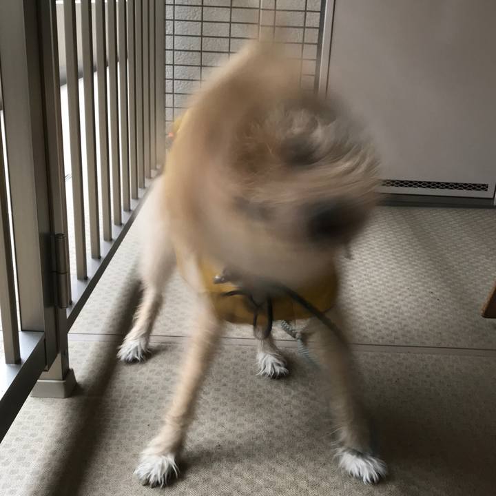 01afc598 a71d 4286 a6f3 ad1cd9b6d9da 1538323475896