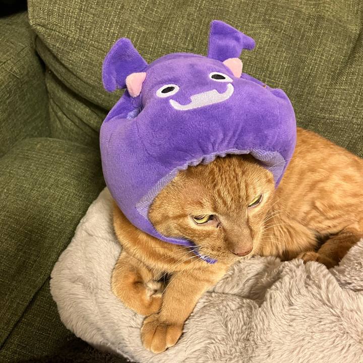 01aff0e0 ceee 4f9a ae95 49139b492996 1761912429844