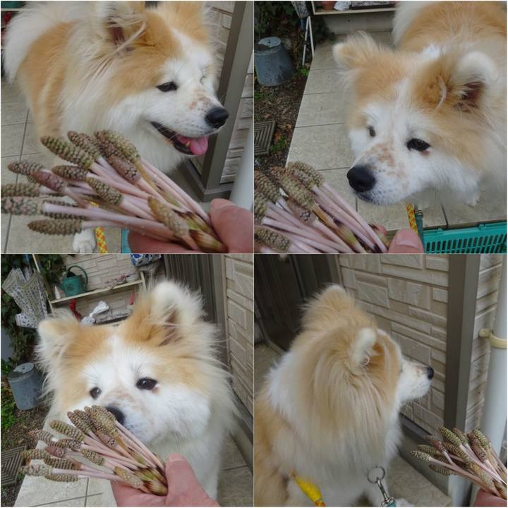 01aff0f9 c5cb 4e83 b52a a8d1e1ff79e7 1617270183825