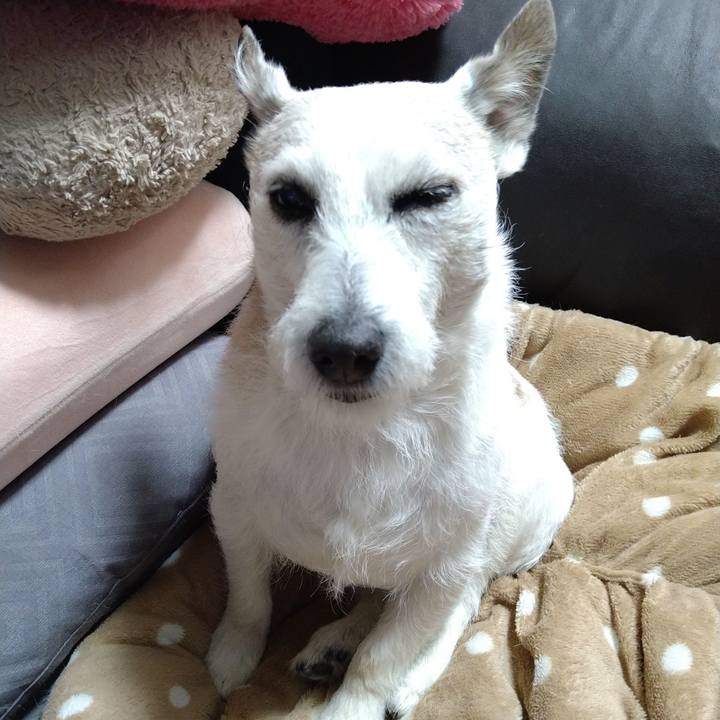 01b00831 6fc2 43b1 9127 f69a1d304388 1706700261231