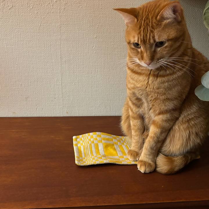 01b0339b 00c1 4d32 a1d2 78920fa34230 1772198016090