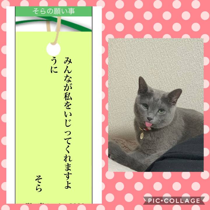 01b041eb 51e8 4604 bef2 88b041f67a5f 1594086955873