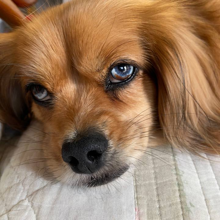 01b0508c eb3d 497c 97ed 26475e58bab5 1621034171468