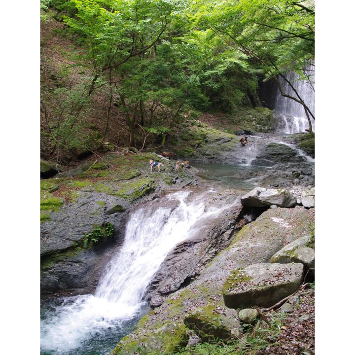 01b072d4 0a1d 4178 b90f 998f50e5fa33 1597215851277