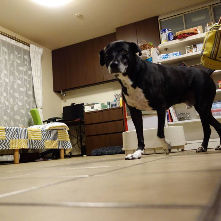 01b08090 8715 4064 b3c4 75c6bf5e4107 1729940806912