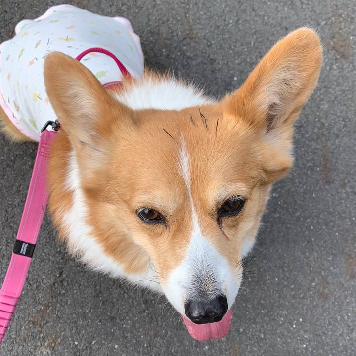 01b083c6 0f34 40fb 9a7c d128c1f27d79 1645242612852