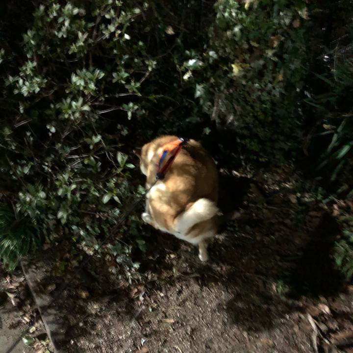 01b08dad 4237 4816 a5d1 e5aafa553a60 1551138731405