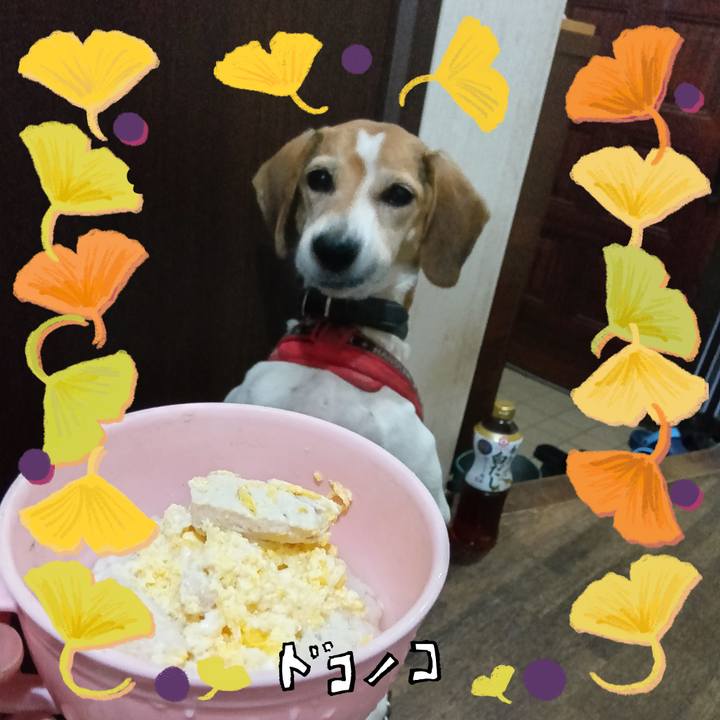 01b0c12a 9e4c 444d 865e 499c39e8f497 1729160933698