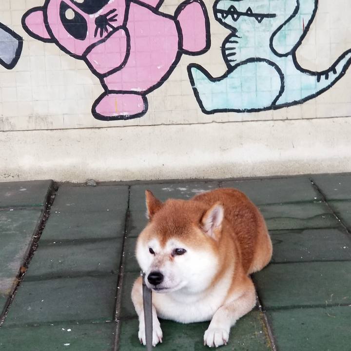 01b0e874 2646 41f3 8238 1dfdcfee56a6 1570858730626