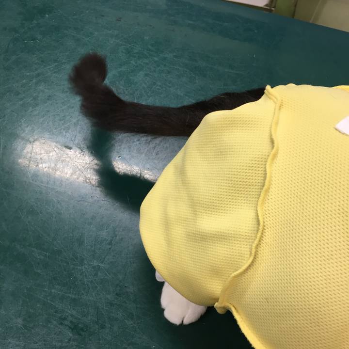 01b0fd40 a188 400d 9a37 439530291a82 1595943352577