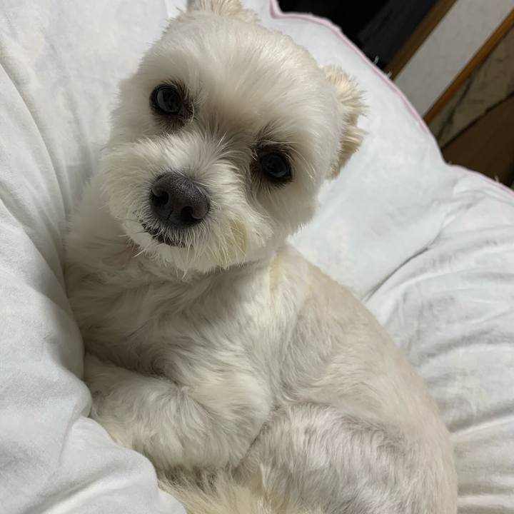 01b0ff31 7594 415c 995b 93a29301ffa2 1572008437386