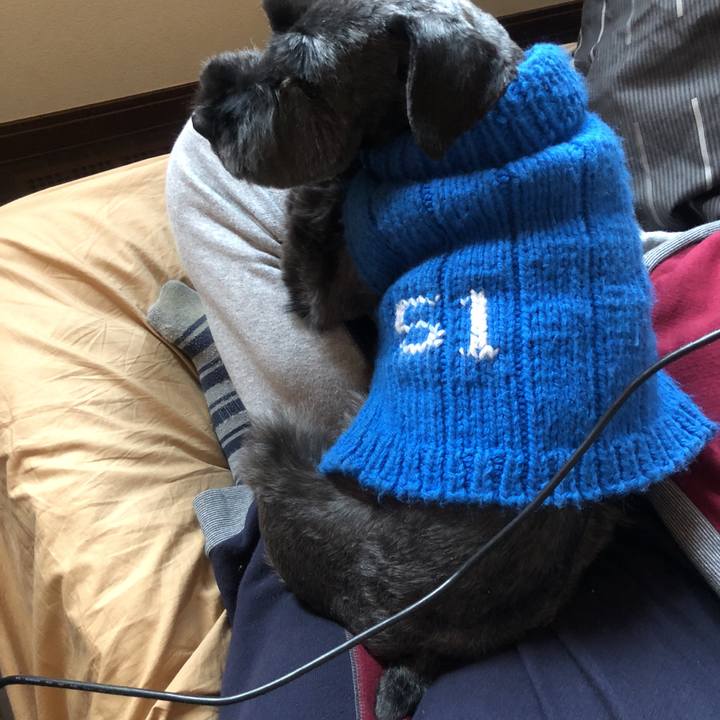 01b11ece 3564 47d1 b953 a6c329dd0fd3 1519446886744