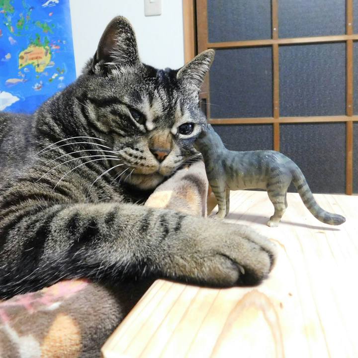 01b1316a 5a89 451a ad4f de4825f4692f 1523459467223