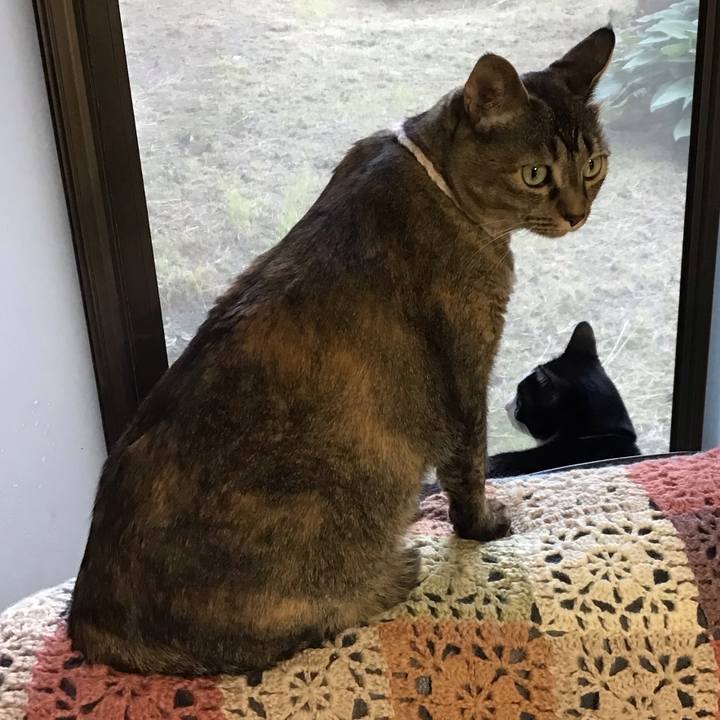 01b14266 d46b 4b81 aec6 61cb711dc106 1715934622591