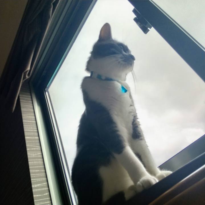 01b16bc7 3f21 48ca a901 521afe4460e7 1624157697884