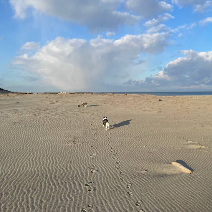 01b17c00 9c06 4a88 a4b4 5fcfed350ff1 1771374627760