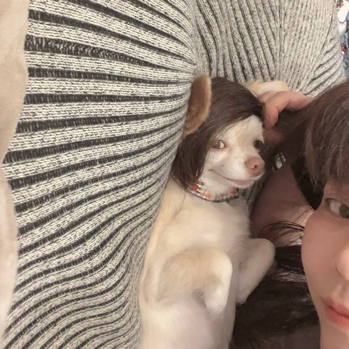 01b18261 261d 4d3d a7ba 2b3a0ad19547 1725452809126