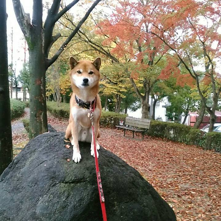 01b1a421 13e3 47f8 936c de238454e07f 1574900672032