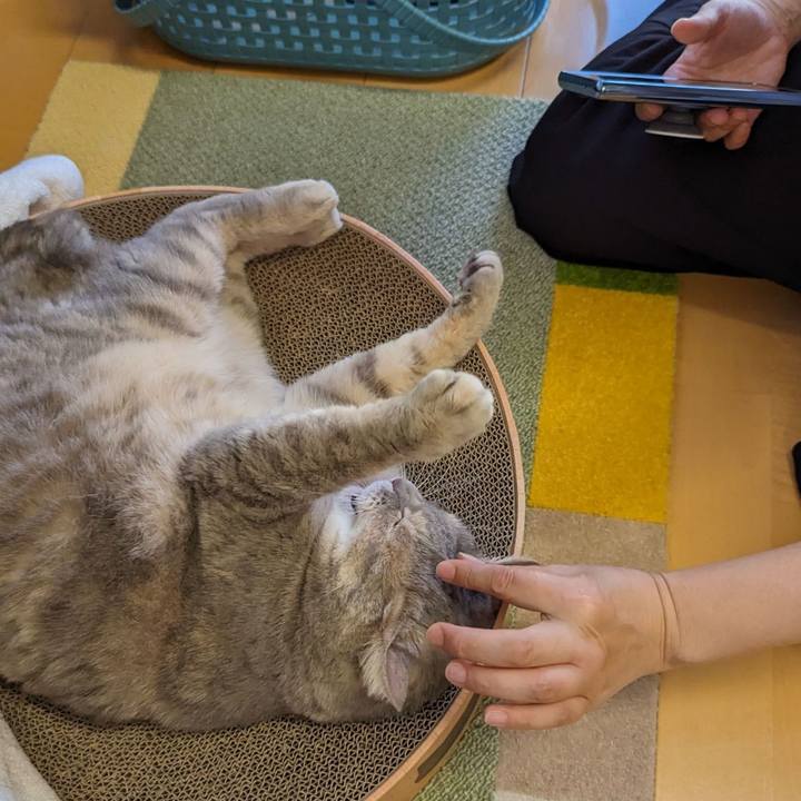 01b1a4b8 93cb 43b8 b93c 53b12434c0a2 1695959530342