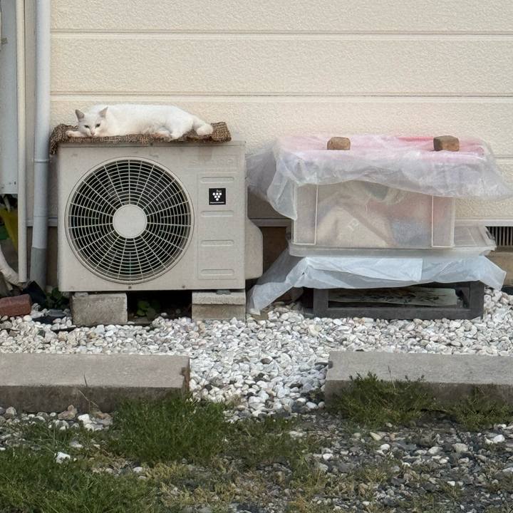 01b1a686 7e2d 43ae abc2 b271a8b34d49 1756248349601