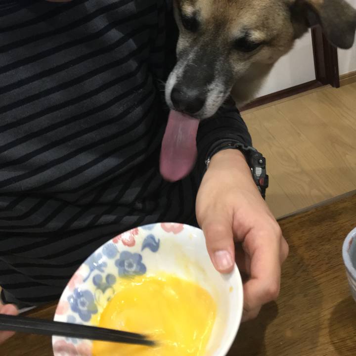 01b1f105 bee6 4687 b011 73904627b0ad 1515840536993