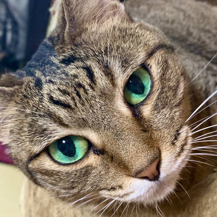 01b1ffb1 d876 4cae bd2e 077173775835 1596589549900