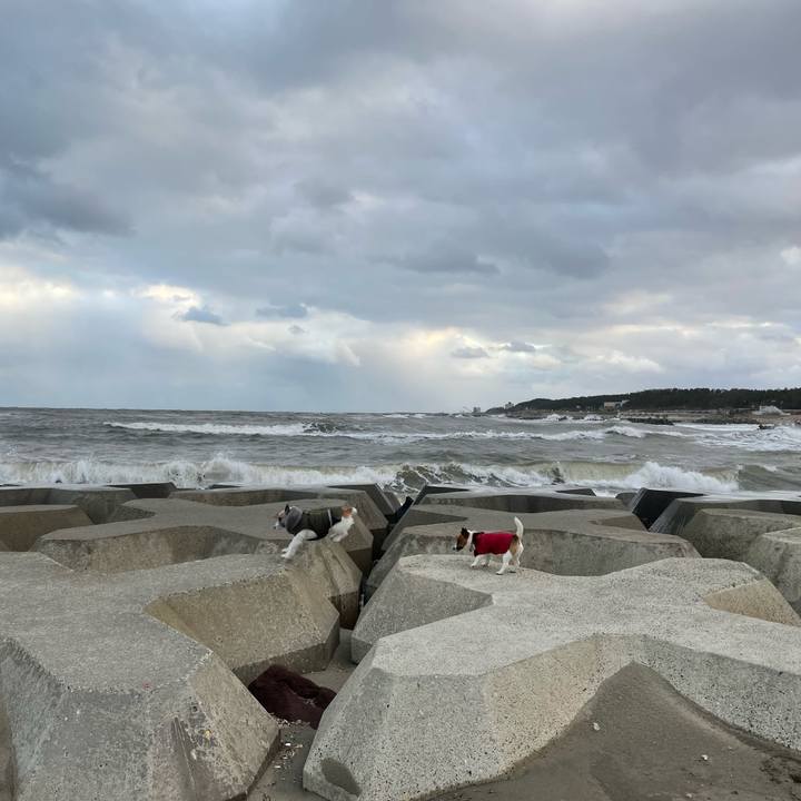 01b22290 63cf 46d3 89d7 1e6406ddc154 1640129706205