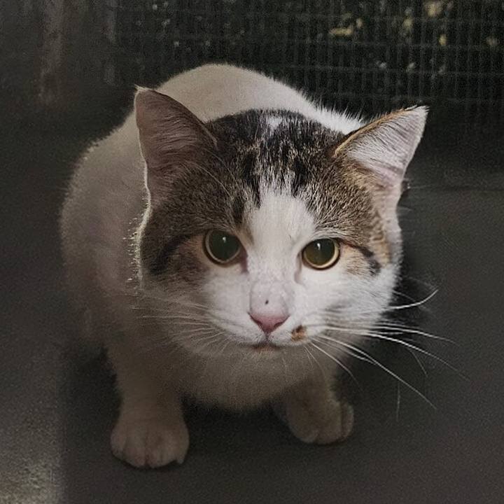 01b23ef1 03da 42c0 8268 b00bd4939658 1734092162436