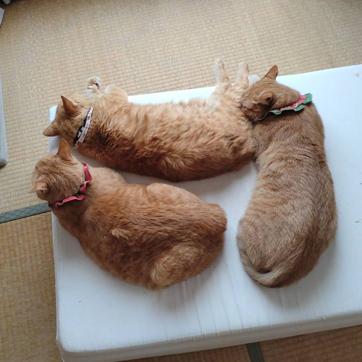 01b24afd 78ed 47b8 a3f9 2f28cb5ebe4c 1658133109908