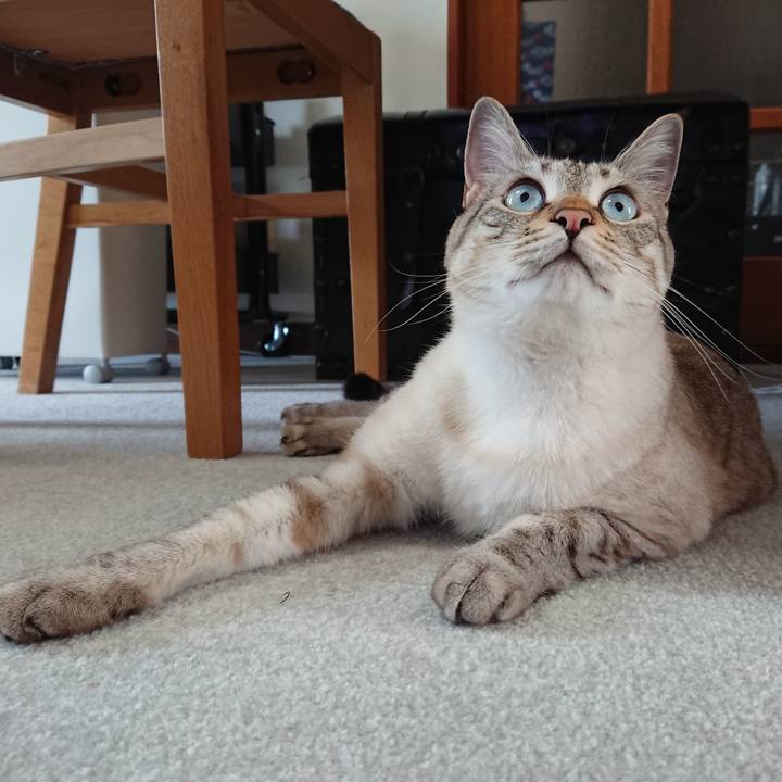 01b25745 fb96 4b0d 8ebf 81bd2e576b44 1525647806860