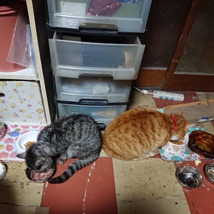 01b259fa b414 4360 9a2e 661b586cdcea 1579204102791