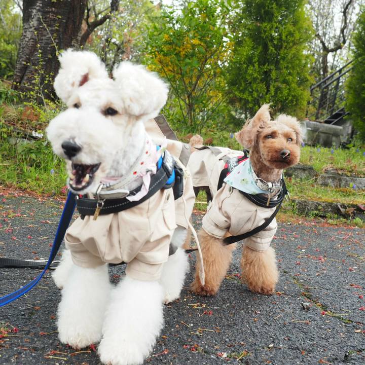 01b289e4 120c 4f04 ac3f 9ee424ced869 1523795977284