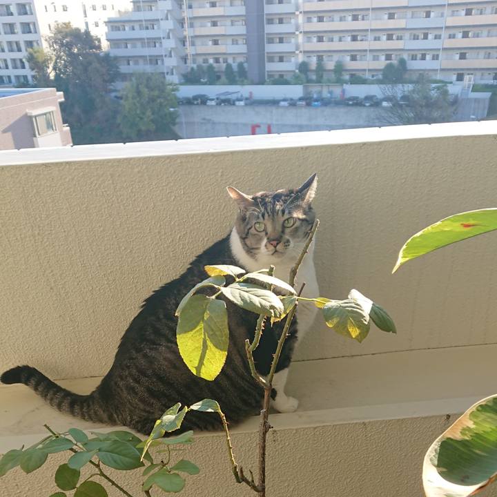 01b2925d e902 4a81 8b9f 98c55dcabf25 1575415429699